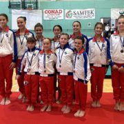 PGF Ginnastica Artistica a Formigine
