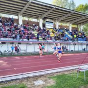 Meeting Atletica Avis 2026