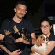 despar-4torri-cavalier-king